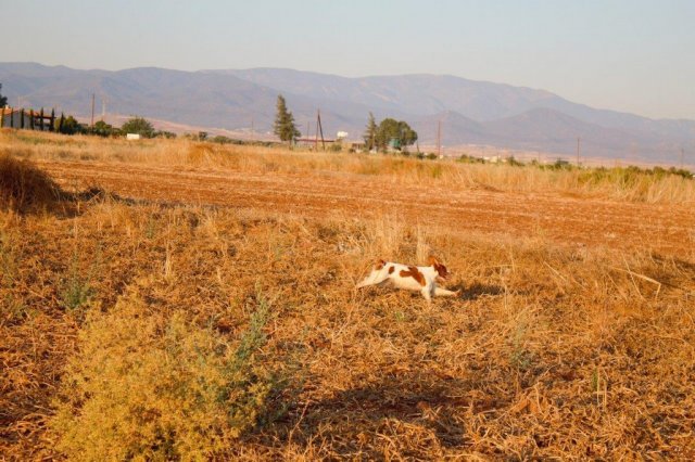 Αγωνες Α.Κ.Ι 18/6/2017